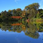 Teich im Herbst