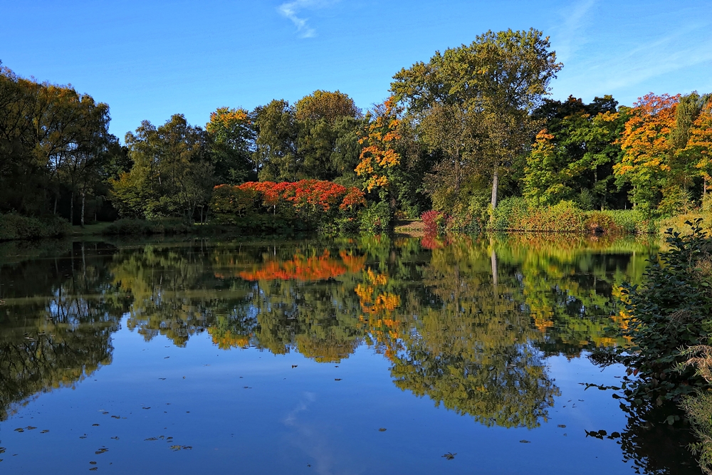 Teich im Herbst