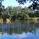 Teich im Herbst / l'étang à l'automne