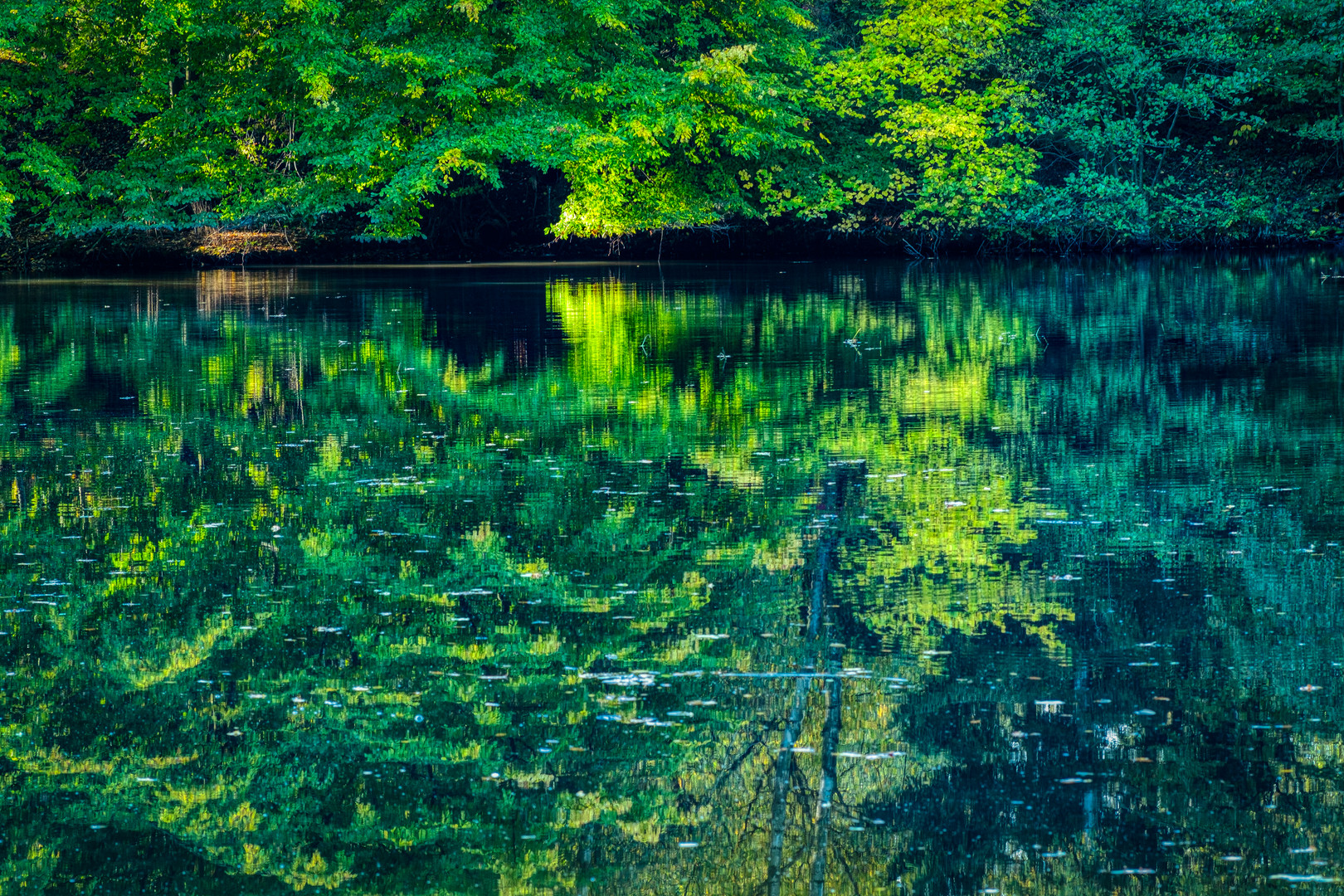 Teich im Herbstkleid