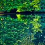 Teich im Herbstkleid