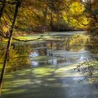 Teich im Herbstlicht