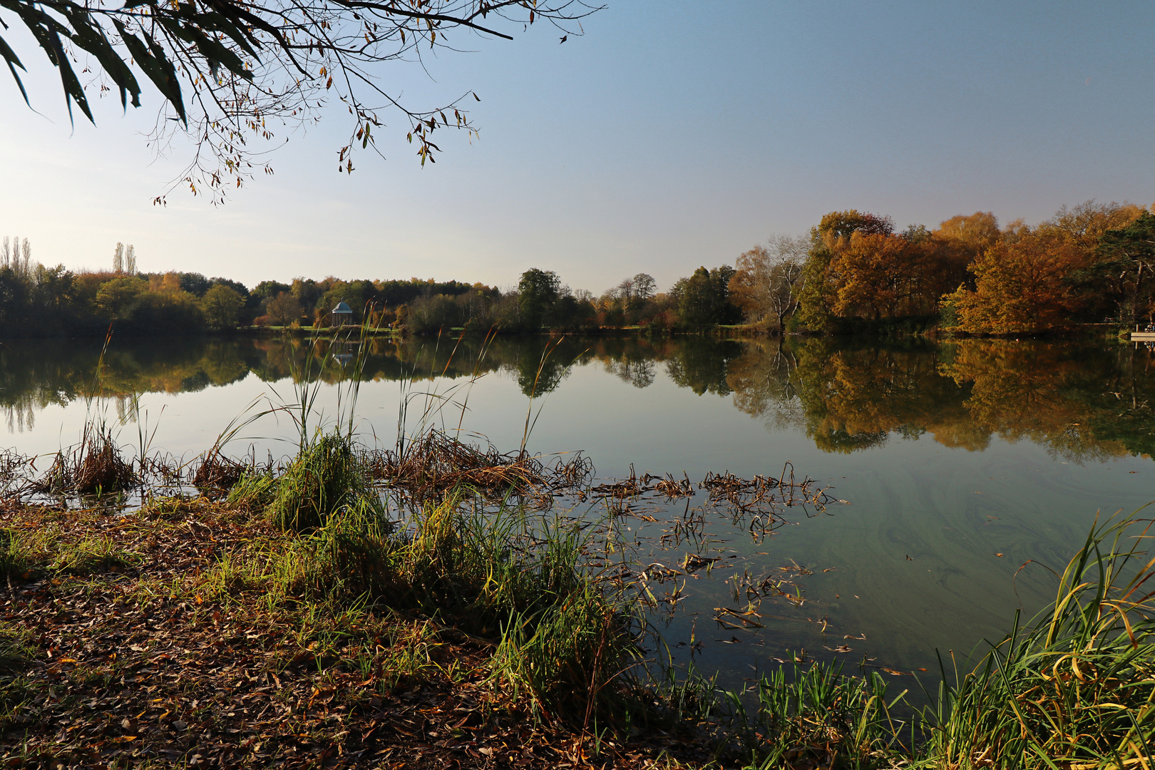 Teich im Herbstlicht