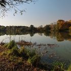 Teich im Herbstlicht