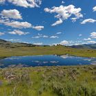 Teich im Lamar Valley