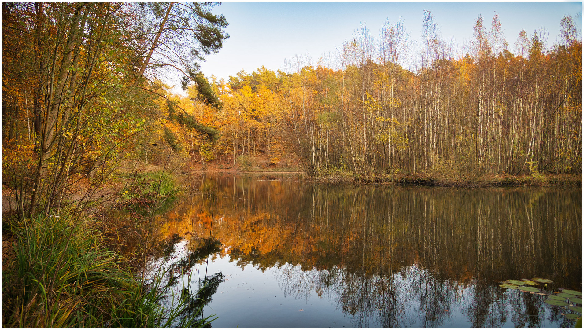 Teich im Liether Wald