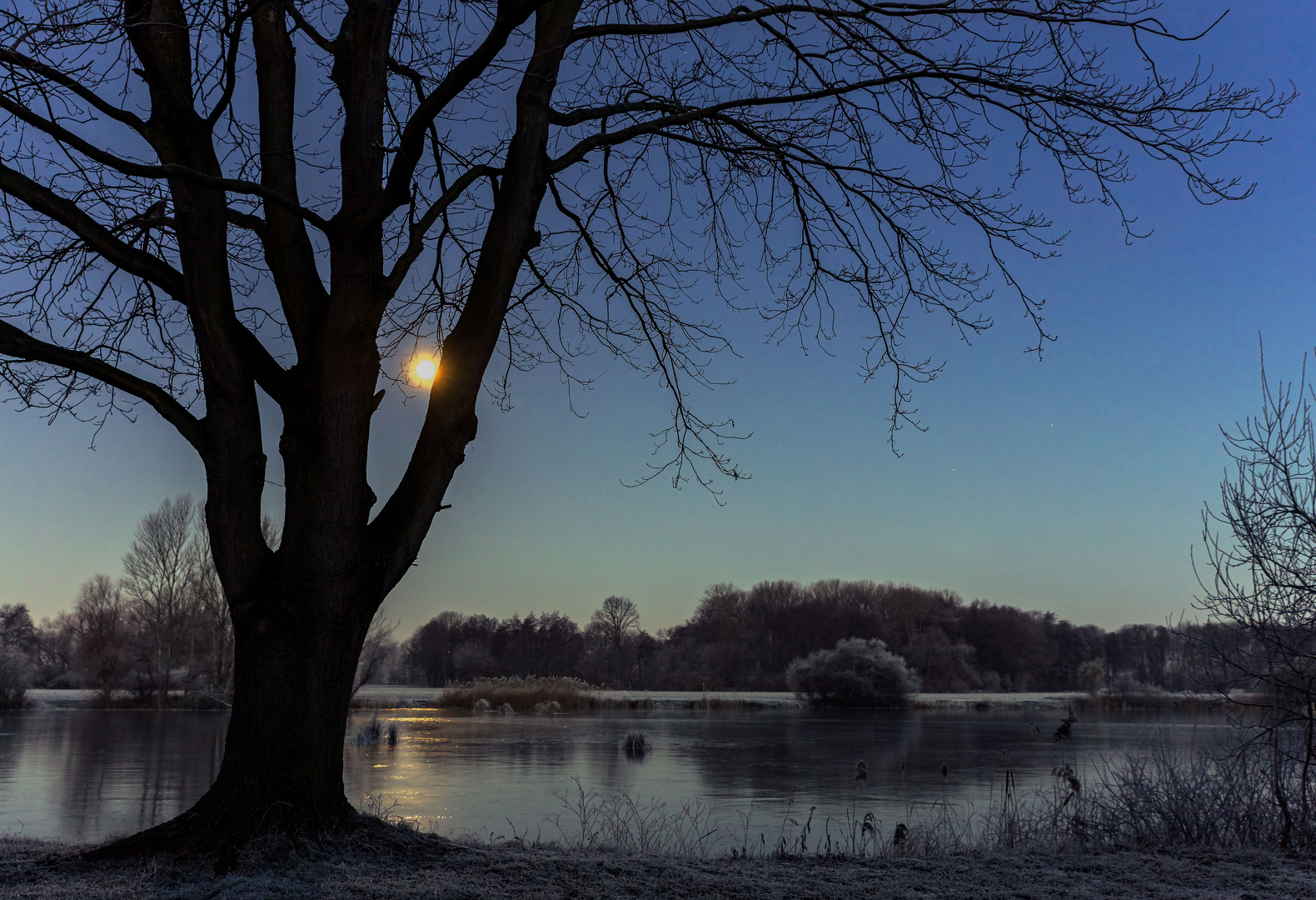 Teich im Mondschein 