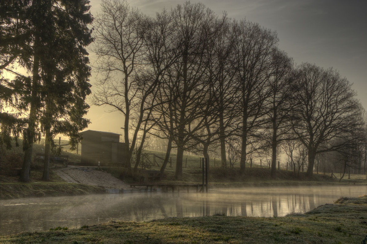 Teich im Morgennebel