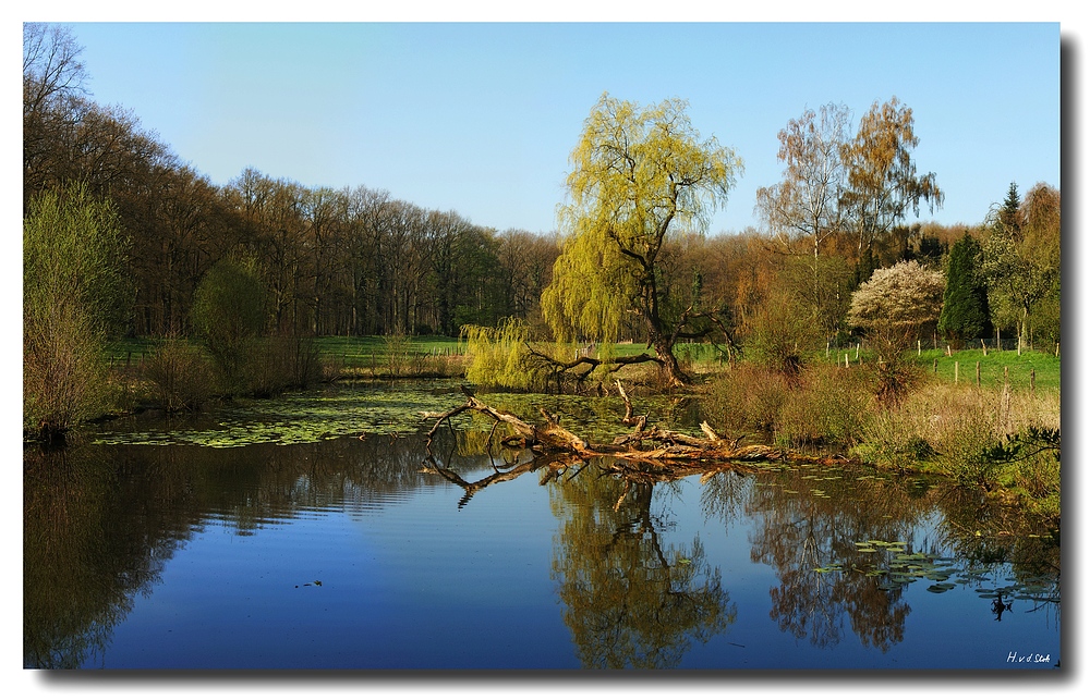 Teich im Münsterland