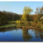 Teich im Münsterland