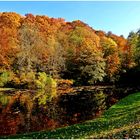 Teich im Murmelbachtal