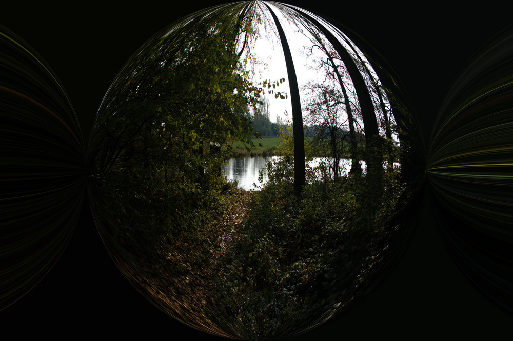 Teich im Naturschutzgebiet