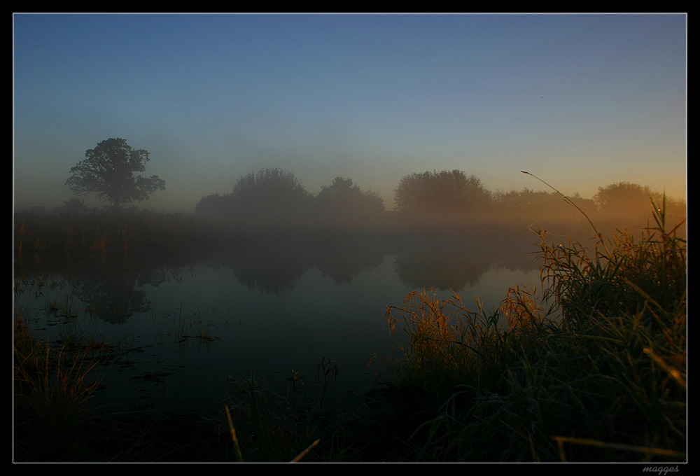 Teich im Nebel