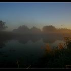 Teich im Nebel