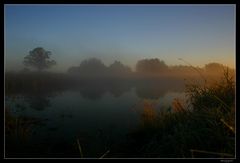 Teich im Nebel