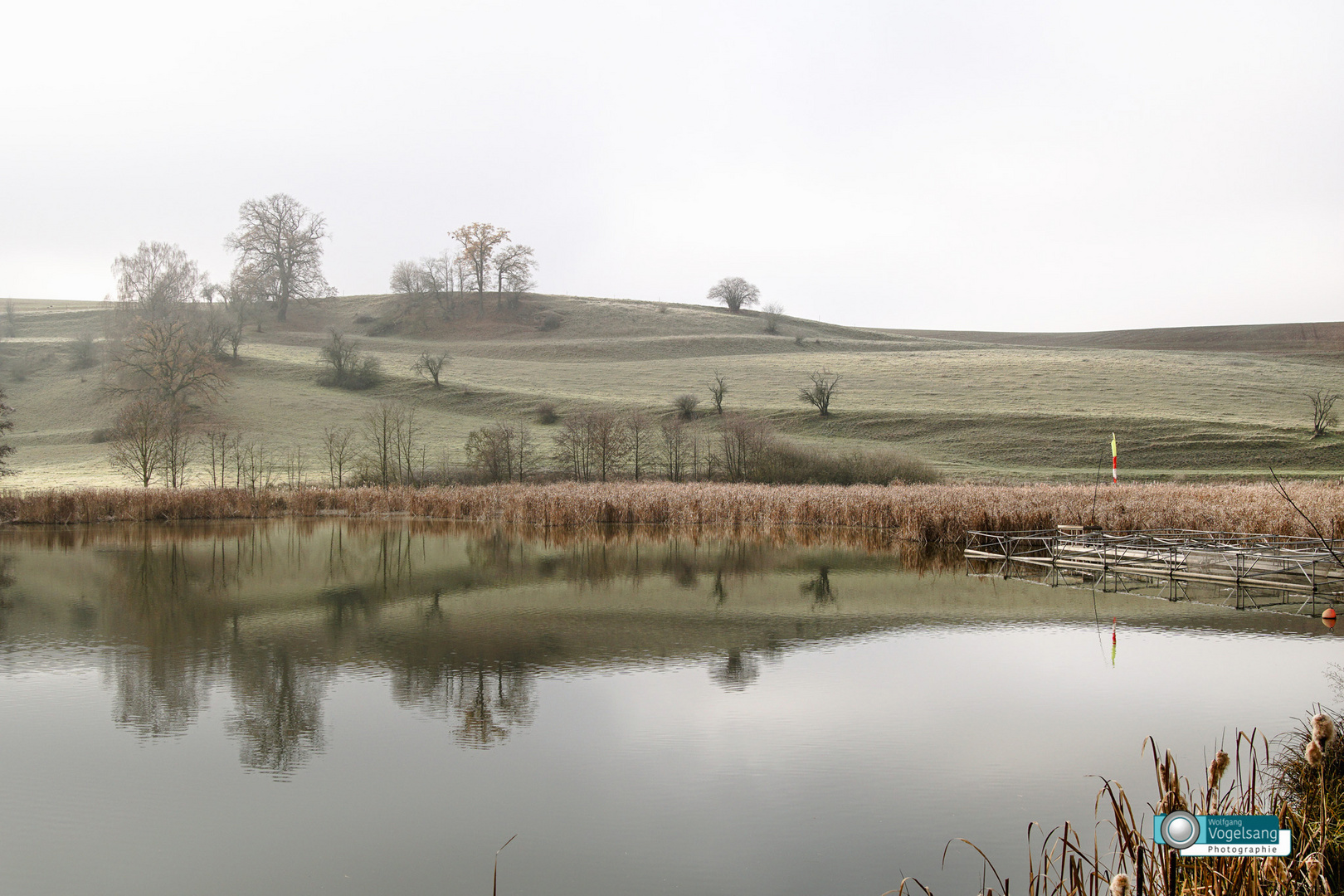 Teich im Nebel