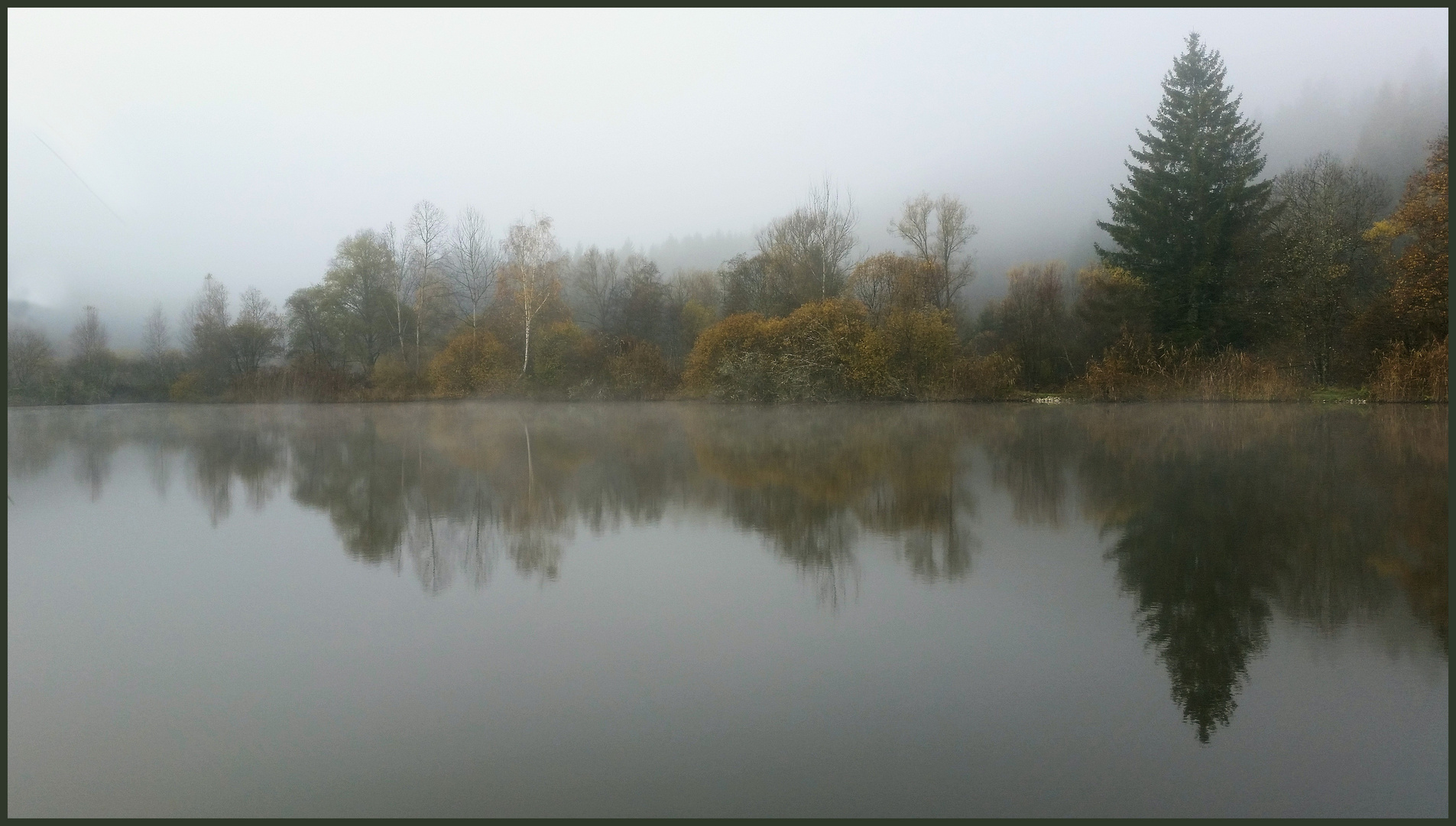 Teich im Nebel