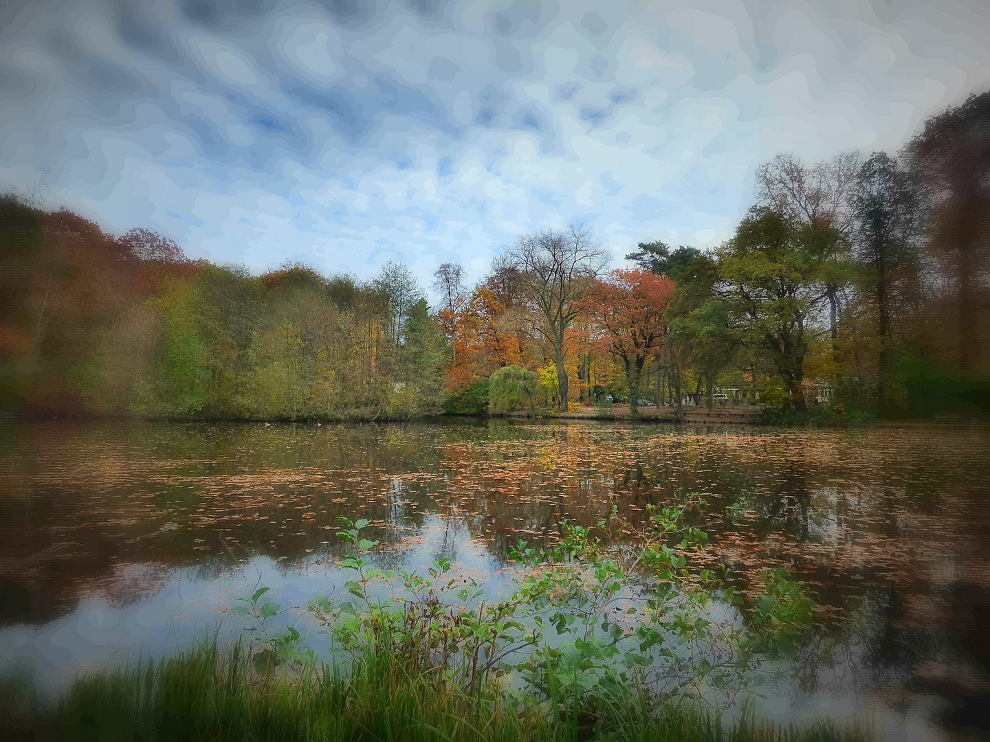 Teich im November