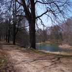 Teich im Oederaner Stadtwald