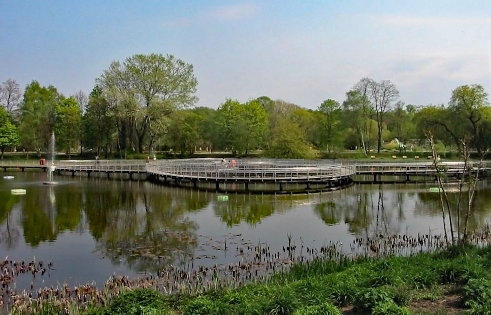 Teich im Optikpark in Rathenow Foto & Bild natur, landschaft