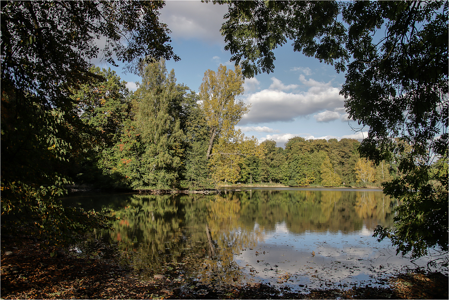 Teich im Park 1 Foto & Bild park, licht, himmel Bilder auf