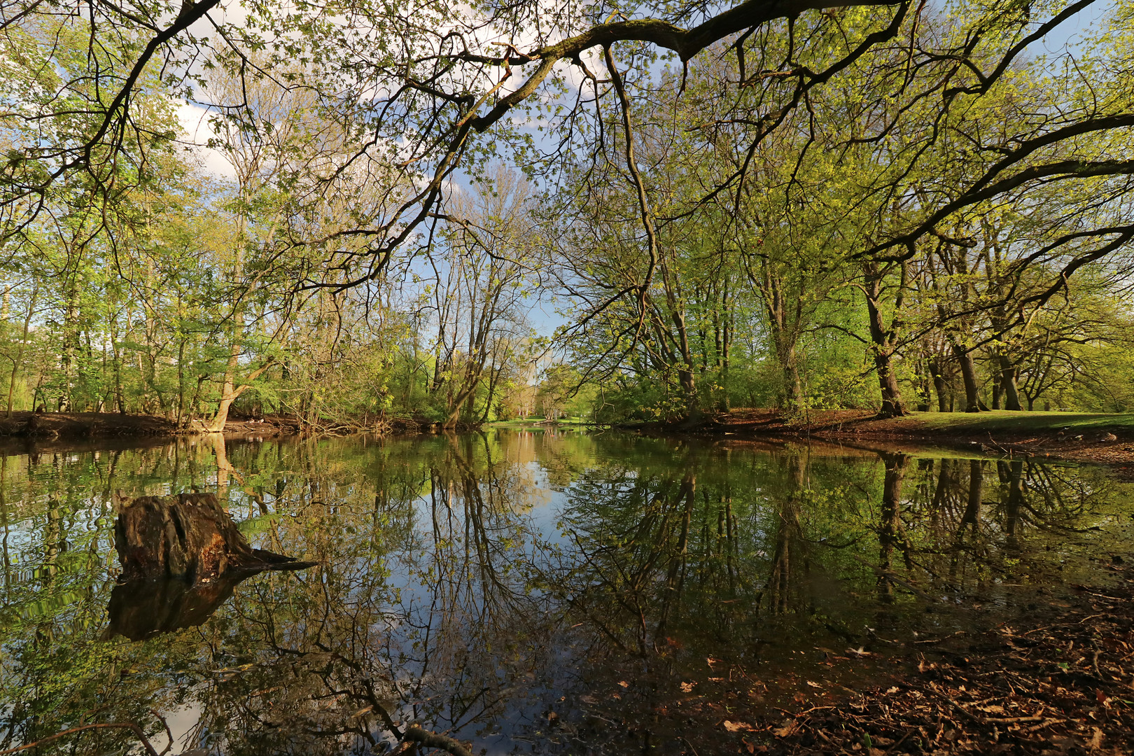 Teich im Park Foto & Bild park, landschaften, wasser Bilder auf
