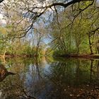 Teich im Park