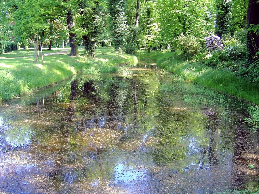 Teich im Park