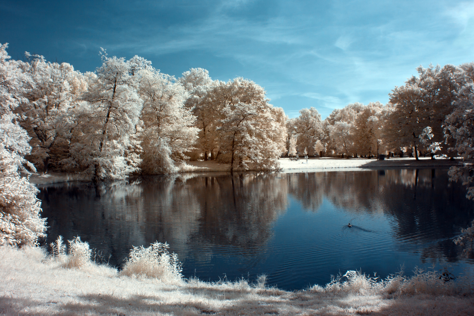 Teich im Park