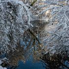 Teich im Park