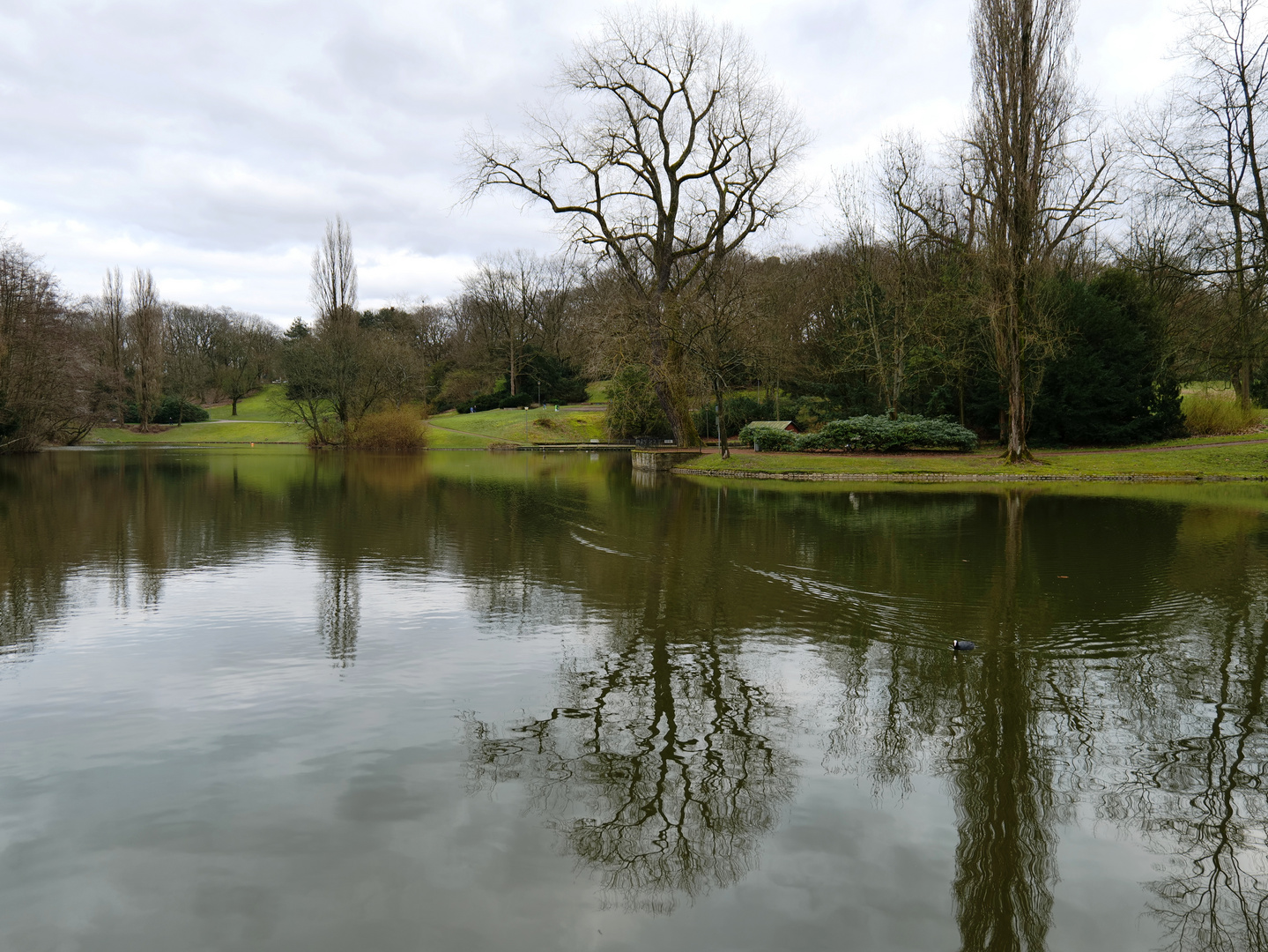 Teich im Park