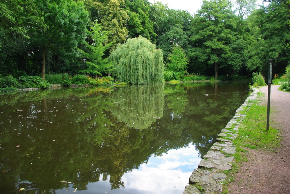 Teich im Park Schöntal in Aschaffenburg