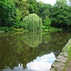 Teich im Park Schöntal in Aschaffenburg