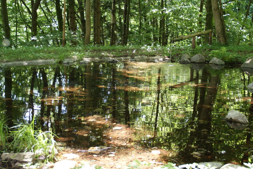 Teich im Park von Schloss Tratzberg in Stans bei Schwaz/Tirol Foto