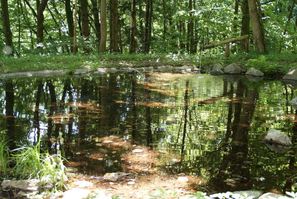 Teich im Park von Schloss Tratzberg in Stans bei Schwaz/Tirol