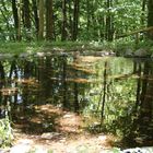 Teich im Park von Schloss Tratzberg in Stans bei Schwaz/Tirol