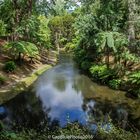 Teich im Parque Terra Nostra in Furnas