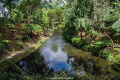 Teich im Parque Terra Nostra in Furnas