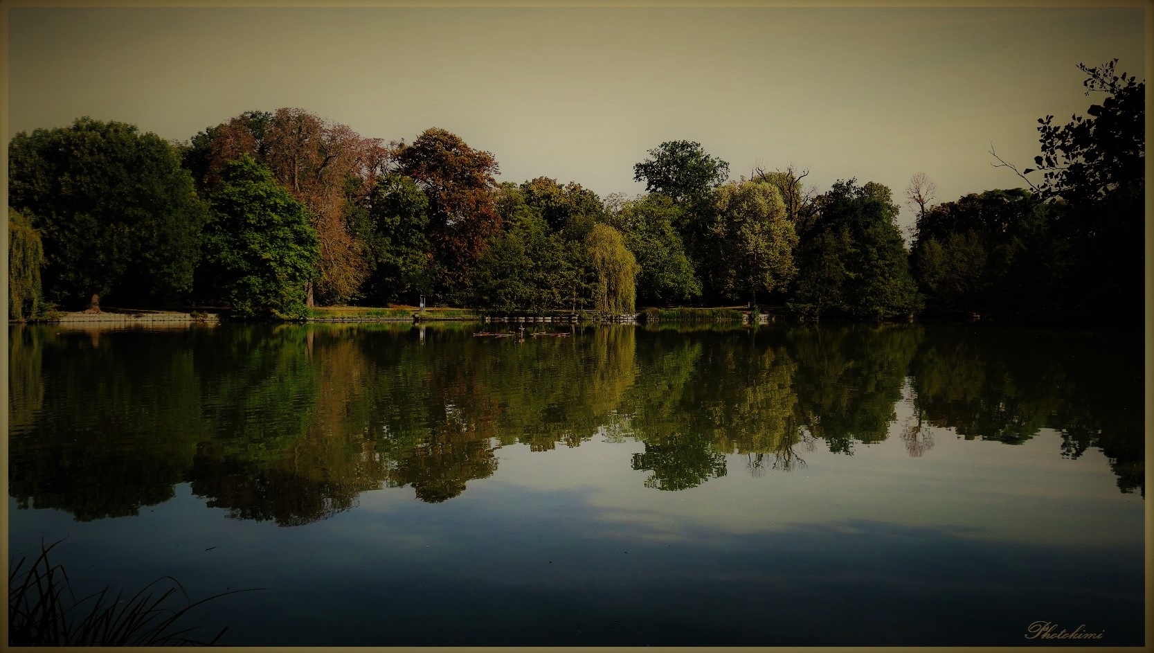 Teich im Schlossgarten Biebrich/Wiesbaden