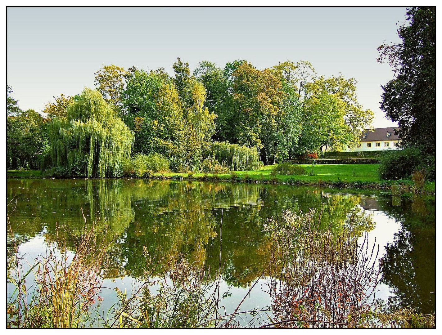 Teich im Schlosspark