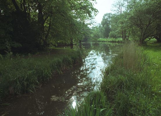 Teich im Schloßpark