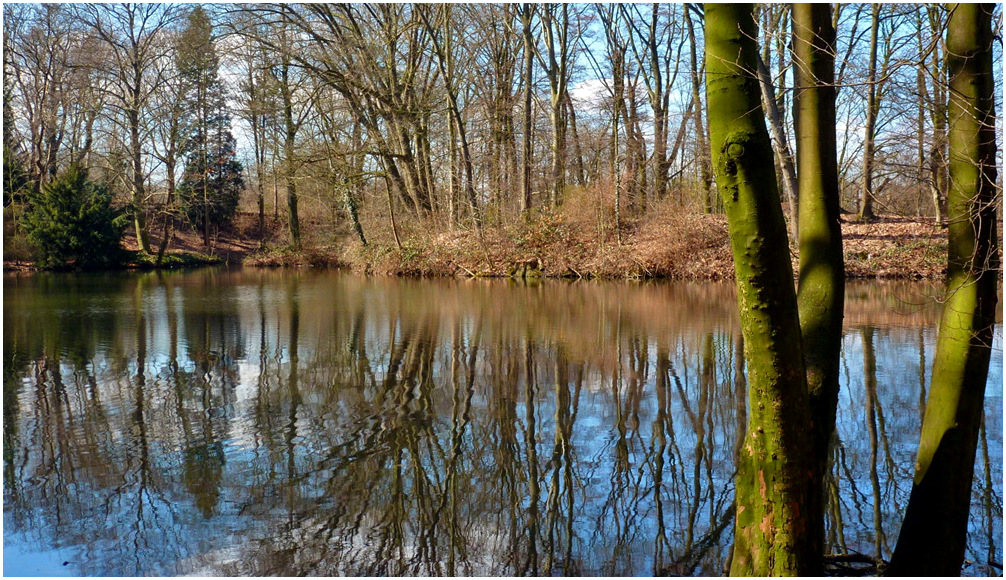 Teich im Schlosspark DüsseldorfEller Foto & Bild landschaft, bach