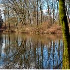 Teich im Schlosspark Düsseldorf-Eller