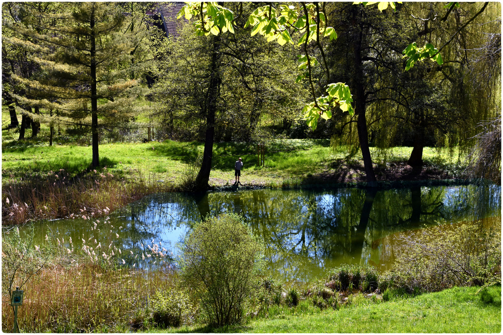 Teich im Schlosspark