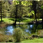 Teich im Schlosspark