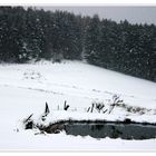 Teich im Schnee