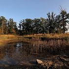 Teich im Siekbruch