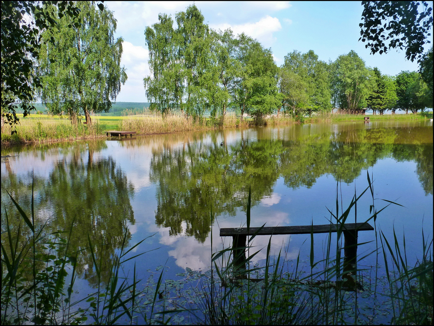 Teich im Solling