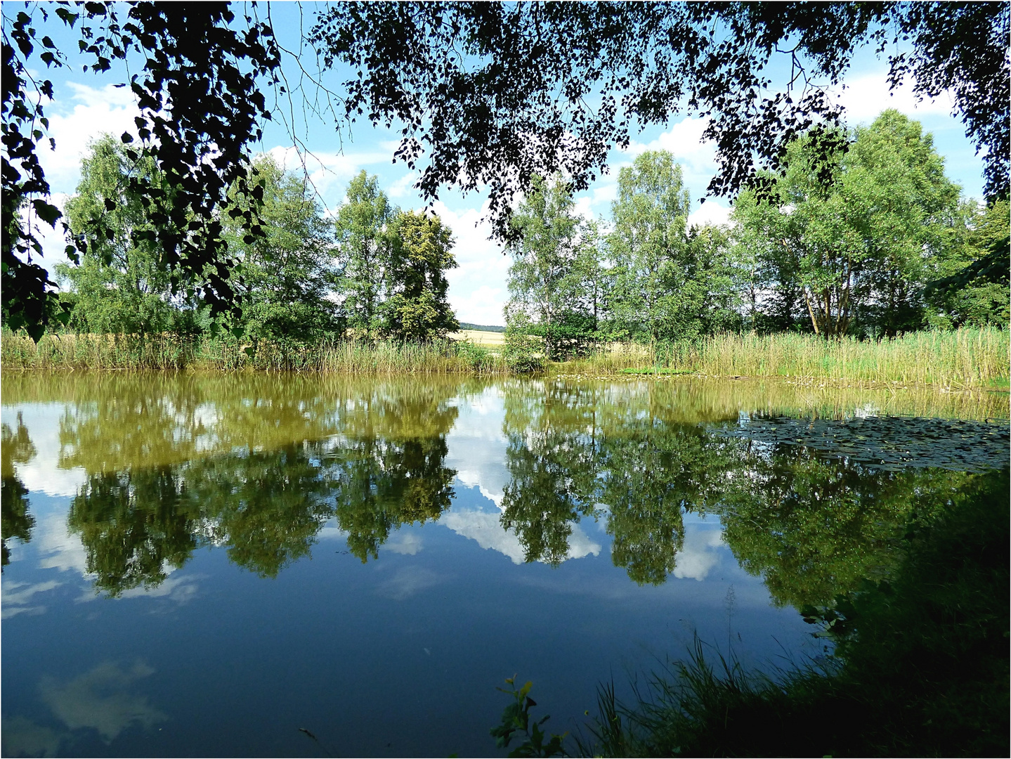 Teich im Solling Foto & Bild natur, landschaft, teich solling Bilder