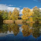 Teich im Solling (Schönhagen)